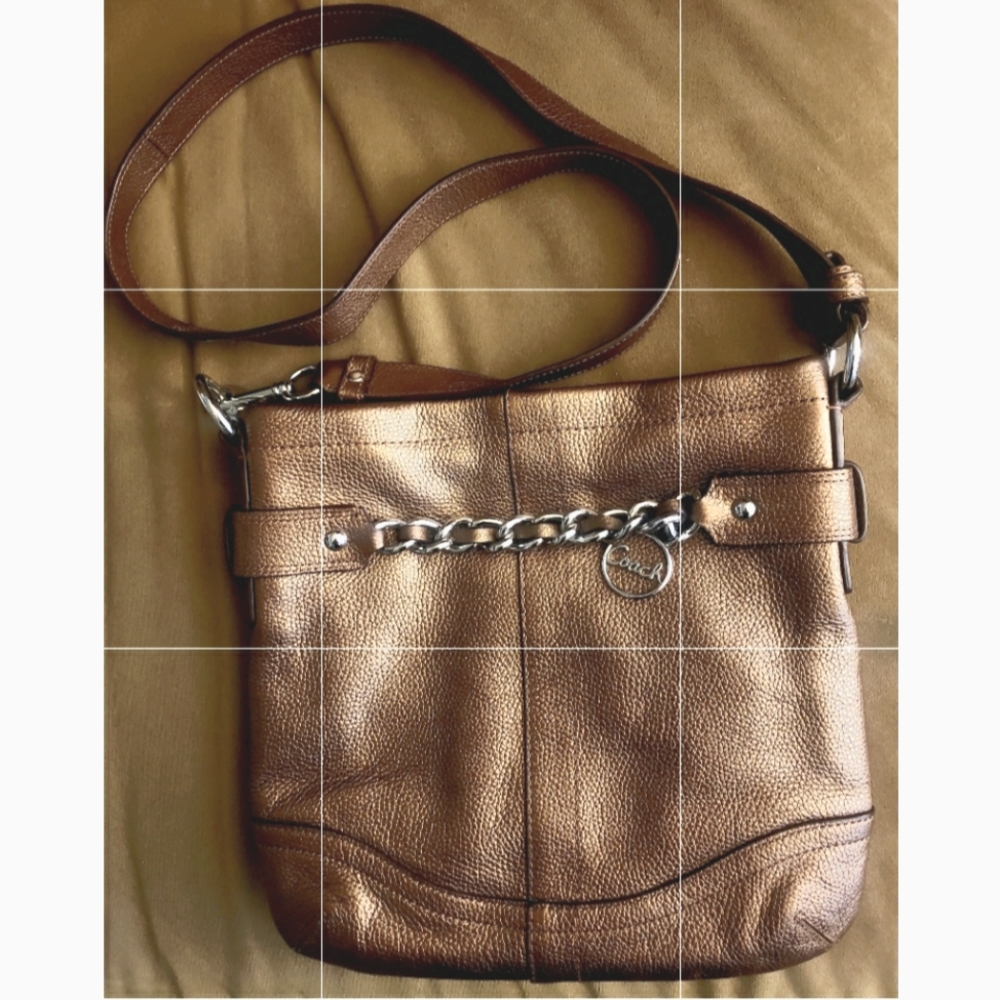 Coach Crossbody (bronze)